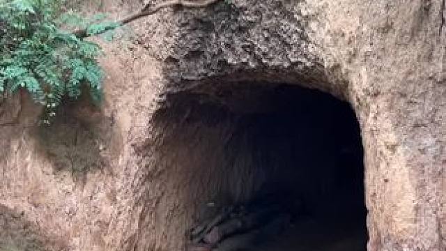 别有洞天。如果不走进去，真不敢相信这里是一处世外桃源
#远离城市的喧嚣 #世外桃源 #老家才是心灵的