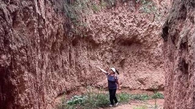 这曲子太好听了，百听不厌啊！#黄土高坡 #山里dou是好风光 #山野自然 #行走山水间 #农村老家