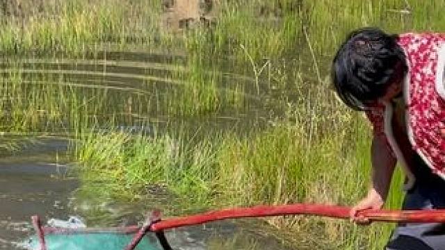 #户外捕鱼 #好大一条鱼