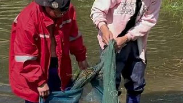 #户外捕鱼 #好多鱼