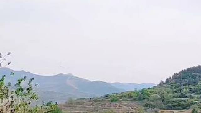 #农村生活 #老家在山区 #大美章丘官庄篇（1136）水峪村。鸡鸣犬吠闹山村，岭巷坡街任我行。朋友们