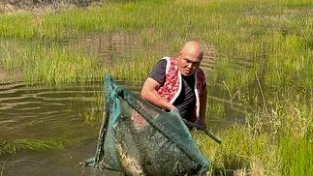 #户外捕鱼 #好大一条鱼