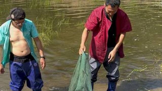 #户外捕鱼 #好多鱼