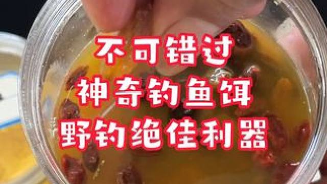 不可错过！葡萄干制成的神奇钓鱼饵，钓鱼的绝佳利器 #鱼饵制作 #饵料制作 #鱼饵制作教学 #鱼饵配方