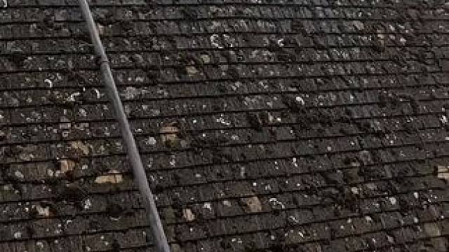 清洗屋顶 得多少年没洗过了#国外视频分享 #解压 #屋顶