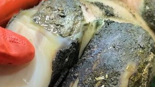 这是整个蹄底都分层的牛牛#解压#修牛蹄