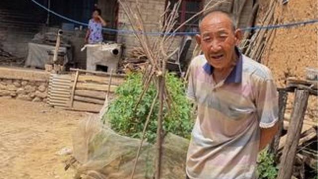 #走进大山深处  #走在乡间的小路上回忆童年时光 #山村美景 #老房子的回忆 #乡村生活里的惬意松弛