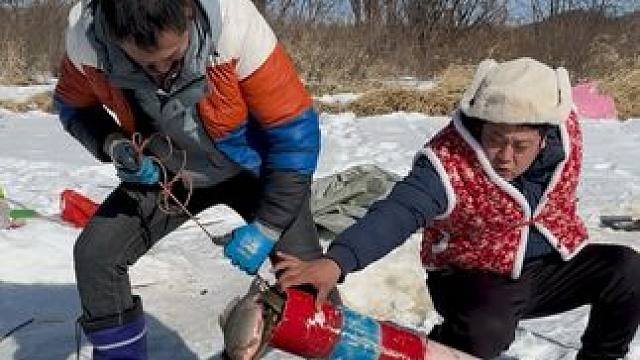 #户外捕鱼 #好多鱼