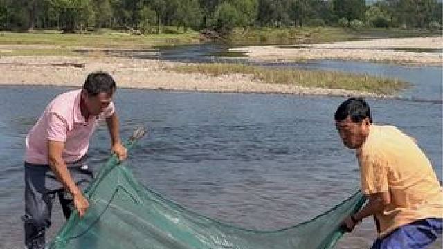 #户外捕鱼 #好多鱼