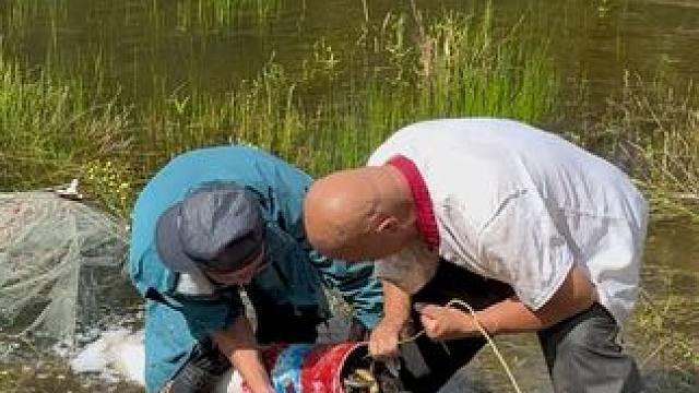 #户外捕鱼 #好多鱼