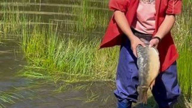 #户外捕鱼 #好大一条鱼