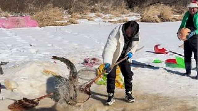 #户外捕鱼 #好多鱼