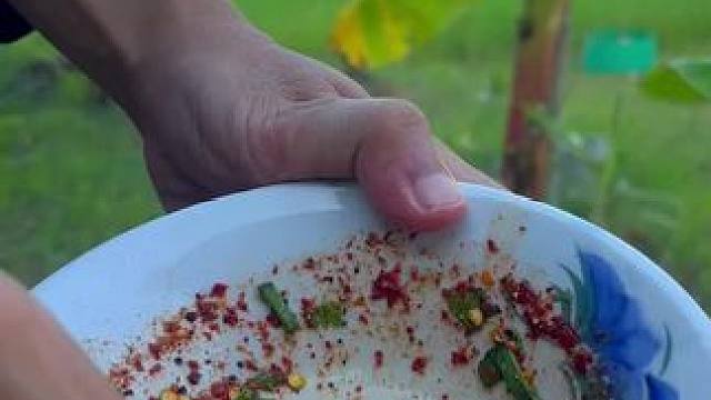 泰国菜 #农村生活 #原始美味 #我的乡村生活 #爱生活爱美食 #农村美食