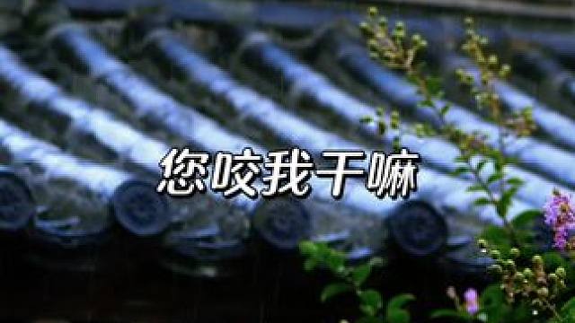 谁不想咬香香软软的于青老婆，太甜啦！！！#于青#cv锦鲤#凌飞