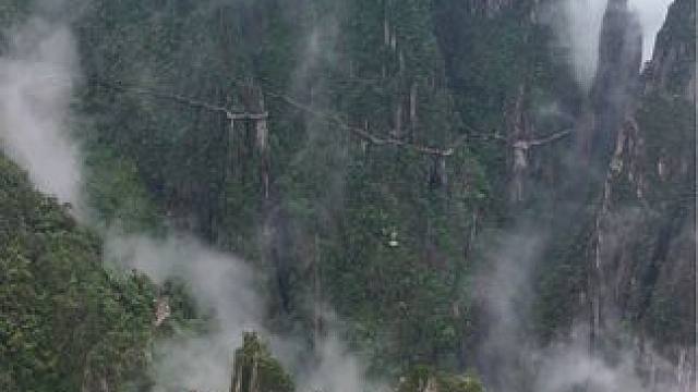 无人机一不小心误入仙境，云雾缭绕的莽山令人流连忘返#航拍莽山 #一座不用爬的山 #莽山五指峰景区