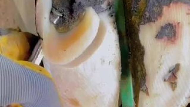 旋的如此丝滑，根本不忍心划走它#治愈系 #助眠 #解压 #强迫症 #极度舒适