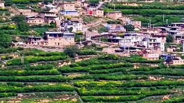 这是川西汶川县灞州镇龙溪村位于高半山的俄布羌寨#给你推荐我的家乡 #绿水青山就是金山银山 #我为家乡