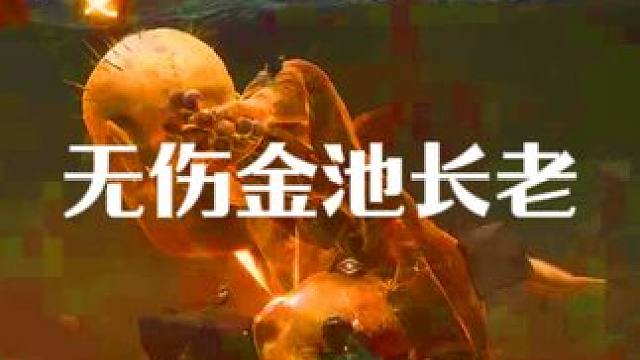 今天又是我太奶看来就系列 金池长老 #黑神话悟空 #黑神话悟空创作激励