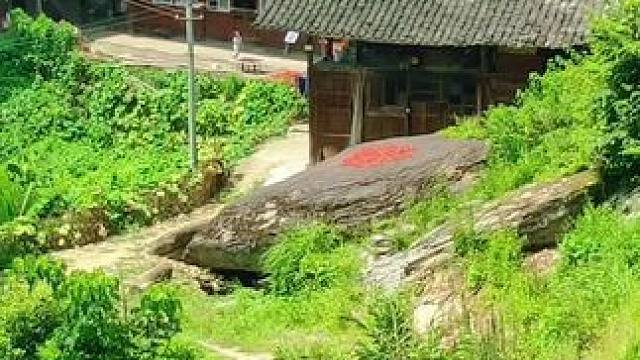 这就是我的家乡，山沟沟里，喝的是山泉水，走的是泥巴路，住的是木房子，你知道这样的视频没人看，但我还是