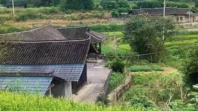 再过二十年，农村可能会出现这七种现象！#乡愁记忆 #记录真实生活 #大实话 #农村生活 #老房子的回