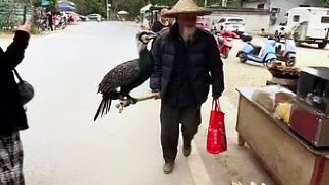 #这里是广西桂林 #好山好水好风景 #漓江渔翁 #旅行推荐官