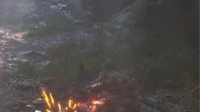 一直撞猪八戒真的给东西哎！果然没有骗我！#黑神话猪八戒 #黑神话悟空创作激励