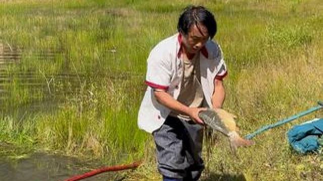 #户外捕鱼 #好大一条鱼