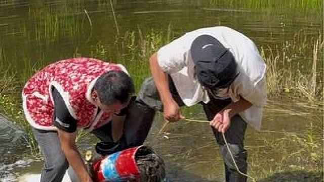 #户外捕鱼 #好多鱼