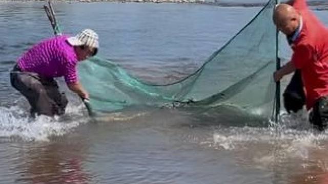 #户外捕鱼 #好多鱼