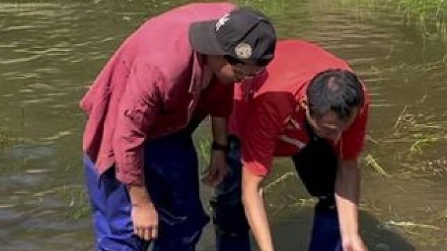 #户外捕鱼 #好多鱼