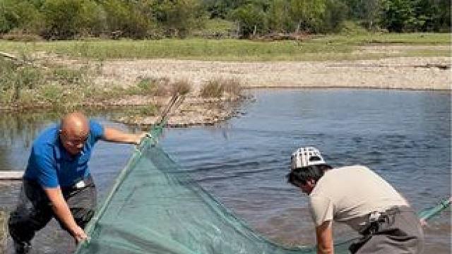 #户外捕鱼 #好多鱼