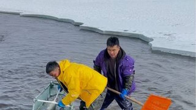 #户外捕鱼 #好大一条鱼