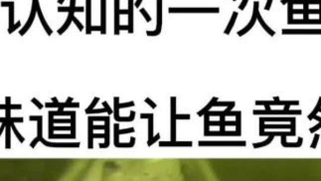 测试这么多年了，连我自己都不敢相信残留味道的空弹簧竟然能做到这样#不可思议#鱼饵添加剂新的突破 ＃探