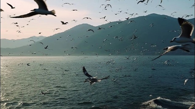 感情这东西 只有没玩够的在谈 玩够的都在谈钱