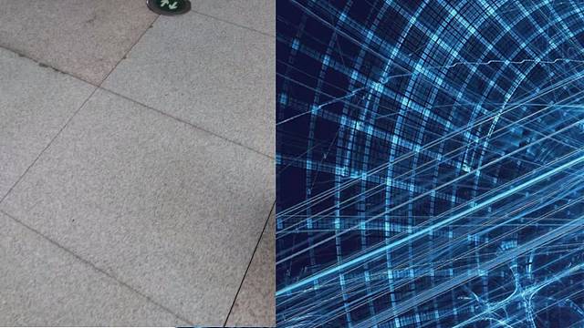 祝第二十六届亚宠展圆满落幕，愿国产宠物用品走向国际市场！