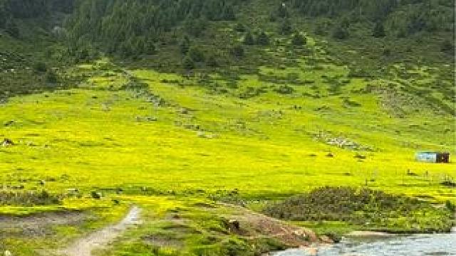 走最野的路，看最美的风景，这里的一切都写满了大自然的味道！美在山水间#捕捉身边的美 #记录真实生活