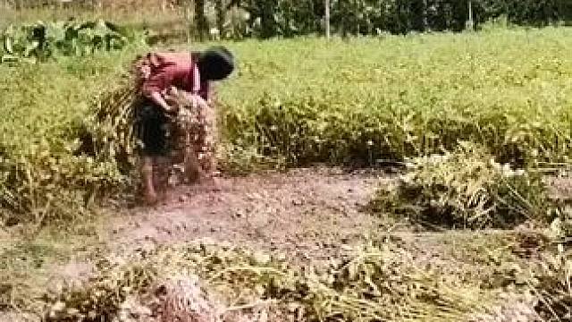 山卡卡里的农村大姐学费了开直直播每天收获满满您还在恐播怕播不敢开播开播了不知道说什么吗#记录真实生活