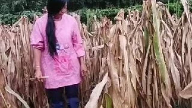 山卡卡里的农村大姐学费了开开直播每天收获满满您还在恐播怕播开播了不知说什么吗#记录真实生活 #农村生