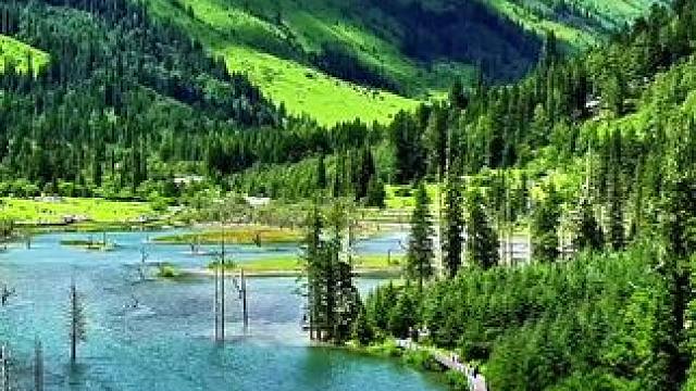 有人说这是九寨沟还有说是长坪沟，我拍完回来忘记了这是哪里，你知道吗？#川西美景 #无滤镜的美 #治愈