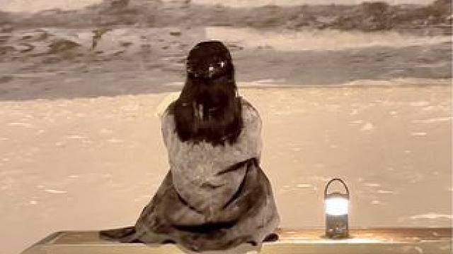 你失约的海 我替你来了真的很美.
#威海 #氛围感 #去年冬天