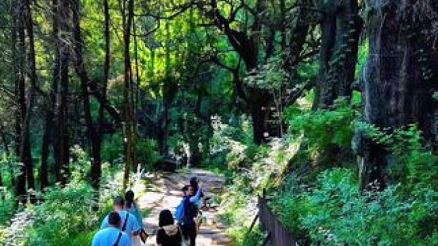 没有门票还有千年古柏的古蜀道，跟着女儿节游广元栏马墙#治愈系风景 #永远喜欢大自然的生命力 #千年古