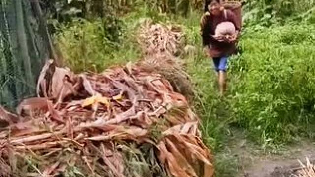 山卡卡里的农村大姐学费了开直播每天收获满满满您还在恐播怕播不敢开播开播了不知说什么吗#记录真实生活 