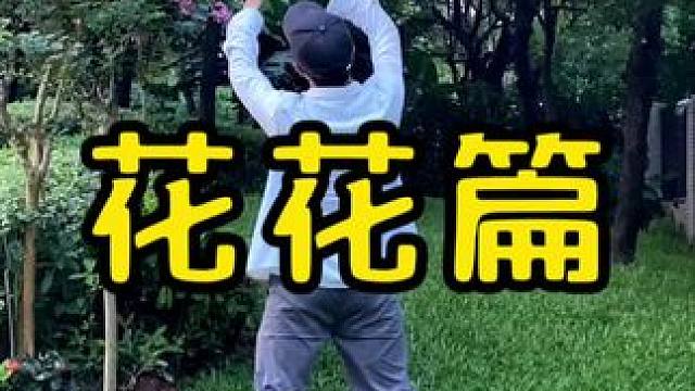 紫薇花试试这样拍#手机摄影 #拍摄技巧 #紫薇花 #治愈系风景 #随手一拍都是美景