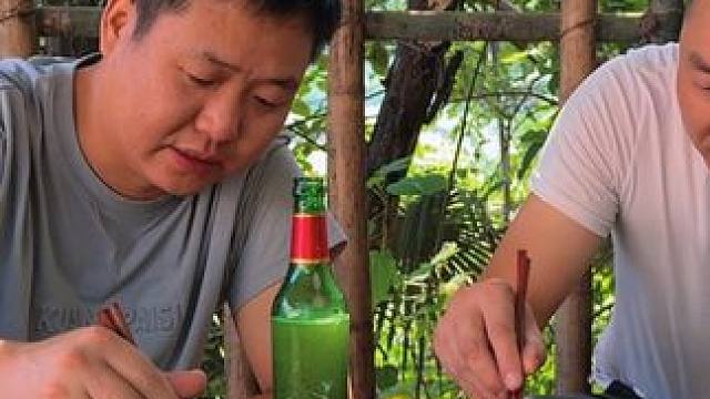 新农人计划2024~