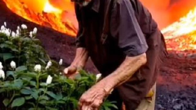 人参枸杞与白桦树汁的巧妙搭配制作出独特的健康饮品#白桦树汁 #人参枸杞白桦树汁