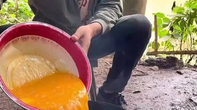 #我的乡村生活 #农村美食 #新农人田间生活的日常  笨蛋炒河虾太美味了