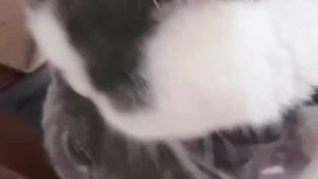 我发布了一个新视频，快来围观吧！