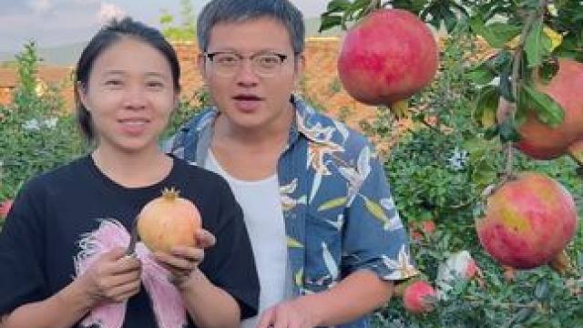 朋友们，不用再像以前那样剥石榴了。#石榴