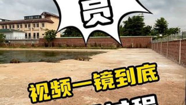 饲养员喂鳄鱼的全过程#鳄珍 #鳄珍鳄鱼酒 #鳄鱼养生酒 #鳄鱼养殖场