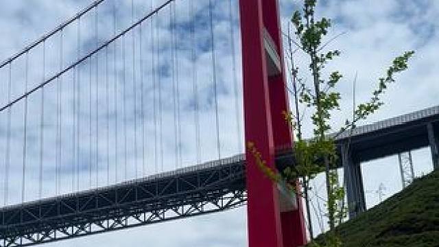 出发永远是最有意义的事情！没有目的地，随心所欲地自驾#记录真实生活